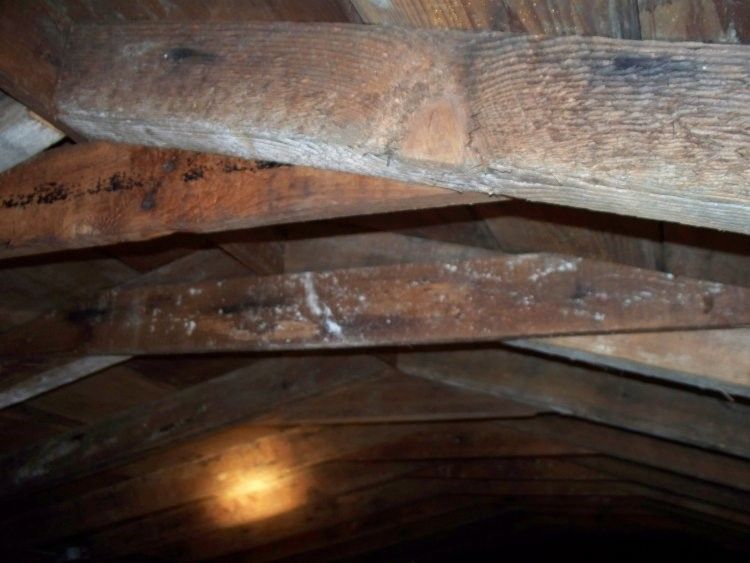 local roofer local roofer